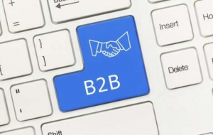 B2B网站营销推广的方法技巧_网络推广_超级蜘蛛池牛品源码-源码下载-源码社区-zblog主题插件-PHP源码-三合一源码-直播源码-短视频源码-APP源码-即时通讯-源码-交友源码牛品源码网
