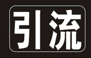 介绍几种网站快速引流的方法_网络推广_超级蜘蛛池牛品源码-源码下载-源码社区-zblog主题插件-PHP源码-三合一源码-直播源码-短视频源码-APP源码-即时通讯-源码-交友源码牛品源码网