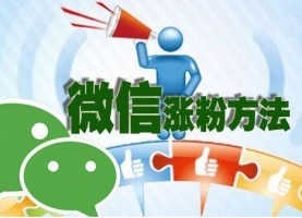公众号粉丝从0到1000的引流思路_网络推广_超级蜘蛛池牛品源码-源码下载-源码社区-zblog主题插件-PHP源码-三合一源码-直播源码-短视频源码-APP源码-即时通讯-源码-交友源码牛品源码网