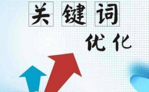 SEO工作之关键词优化难度分析怎么做?_蜘蛛技巧_超级蜘蛛池牛品源码-源码下载-源码社区-zblog主题插件-PHP源码-三合一源码-直播源码-短视频源码-APP源码-即时通讯-源码-交友源码牛品源码网