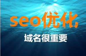网站SEO域名如何选择，哪些域名容易被收录！_蜘蛛技巧_超级蜘蛛池牛品源码-源码下载-源码社区-zblog主题插件-PHP源码-三合一源码-直播源码-短视频源码-APP源码-即时通讯-源码-交友源码牛品源码网