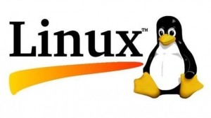 网站建设是选linux空间还是windows空间？_蜘蛛技巧_超级蜘蛛池牛品源码-源码下载-源码社区-zblog主题插件-PHP源码-三合一源码-直播源码-短视频源码-APP源码-即时通讯-源码-交友源码牛品源码网