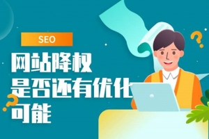 网站降权的原因，如何判断是否真的降权？牛品源码-源码下载-源码社区-zblog主题插件-PHP源码-三合一源码-直播源码-短视频源码-APP源码-即时通讯-源码-交友源码牛品源码网