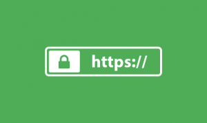 HTTP和HTTPS区别对比，HTTPS加密、解密及验证过程_蜘蛛技巧_超级蜘蛛池牛品源码-源码下载-源码社区-zblog主题插件-PHP源码-三合一源码-直播源码-短视频源码-APP源码-即时通讯-源码-交友源码牛品源码网