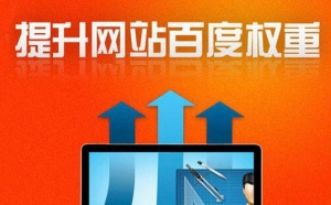 什么是网站权重，浅析网站权重计算因子_蜘蛛技巧_超级蜘蛛池牛品源码-源码下载-源码社区-zblog主题插件-PHP源码-三合一源码-直播源码-短视频源码-APP源码-即时通讯-源码-交友源码牛品源码网