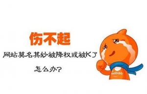 如何判断网站是否受到了搜索引擎的惩罚_蜘蛛技巧_超级蜘蛛池牛品源码-源码下载-源码社区-zblog主题插件-PHP源码-三合一源码-直播源码-短视频源码-APP源码-即时通讯-源码-交友源码牛品源码网