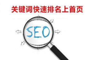 SEO快排是什么、原理、如何判断及应对牛品源码-源码下载-源码社区-zblog主题插件-PHP源码-三合一源码-直播源码-短视频源码-APP源码-即时通讯-源码-交友源码牛品源码网