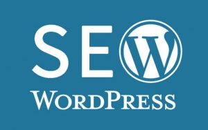 WordPress针对搜索引擎优化的15个免费插件_蜘蛛技巧_超级蜘蛛池牛品源码-源码下载-源码社区-zblog主题插件-PHP源码-三合一源码-直播源码-短视频源码-APP源码-即时通讯-源码-交友源码牛品源码网