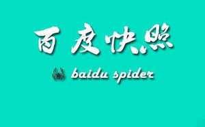 SEO运营师分析，网站快照回档是怎么回事？牛品源码-源码下载-源码社区-zblog主题插件-PHP源码-三合一源码-直播源码-短视频源码-APP源码-即时通讯-源码-交友源码牛品源码网