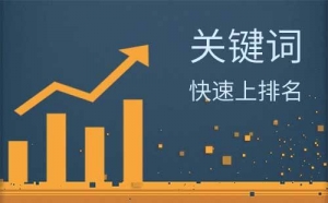 掌握这些SEO技巧，让你的关键词排名明显改善_蜘蛛技巧_超级蜘蛛池牛品源码-源码下载-源码社区-zblog主题插件-PHP源码-三合一源码-直播源码-短视频源码-APP源码-即时通讯-源码-交友源码牛品源码网