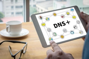 DNS有什么作用？为什么需要更换公共DNS服务器？_蜘蛛技巧_超级蜘蛛池牛品源码-源码下载-源码社区-zblog主题插件-PHP源码-三合一源码-直播源码-短视频源码-APP源码-即时通讯-源码-交友源码牛品源码网