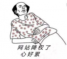 网站降权恢复周期与解决方案牛品源码-源码下载-源码社区-zblog主题插件-PHP源码-三合一源码-直播源码-短视频源码-APP源码-即时通讯-源码-交友源码牛品源码网