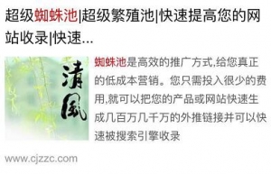 超级蜘蛛池之“闪电算法”解读_蜘蛛技巧_超级蜘蛛池牛品源码-源码下载-源码社区-zblog主题插件-PHP源码-三合一源码-直播源码-短视频源码-APP源码-即时通讯-源码-交友源码牛品源码网