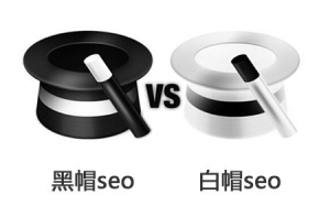 超级蜘蛛池之黑帽SEO还有哪些有效的方法?牛品源码-源码下载-源码社区-zblog主题插件-PHP源码-三合一源码-直播源码-短视频源码-APP源码-即时通讯-源码-交友源码牛品源码网