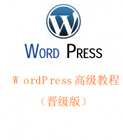 WordPress高级教程（晋级版）中文PDF_PHP教程牛品源码-源码下载-源码社区-zblog主题插件-PHP源码-三合一源码-直播源码-短视频源码-APP源码-即时通讯-源码-交友源码牛品源码网