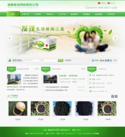 绿色健康活性炭产品展示企业网站psd模板下载_企业网站模板牛品源码-源码下载-源码社区-zblog主题插件-PHP源码-三合一源码-直播源码-短视频源码-APP源码-即时通讯-源码-交友源码牛品源码网