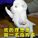 幽默搞笑QQ表情_QQ表情牛品源码-源码下载-源码社区-zblog主题插件-PHP源码-三合一源码-直播源码-短视频源码-APP源码-即时通讯-源码-交友源码牛品源码网