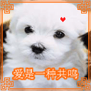 另类搞笑QQ表情_QQ表情