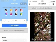 <i></i>抖音去水印小程序源码 独立版 无后台牛品源码-源码下载-源码社区-zblog主题插件-PHP源码-三合一源码-直播源码-短视频源码-APP源码-即时通讯-源码-交友源码牛品源码网