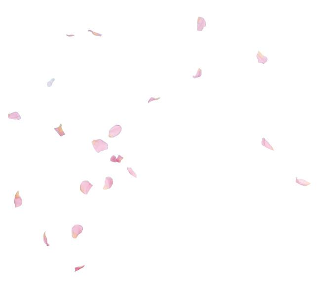 玫瑰花瓣飘落ps模板牛品源码-源码下载-源码社区-zblog主题插件-PHP源码-三合一源码-直播源码-短视频源码-APP源码-即时通讯-源码-交友源码牛品源码网
