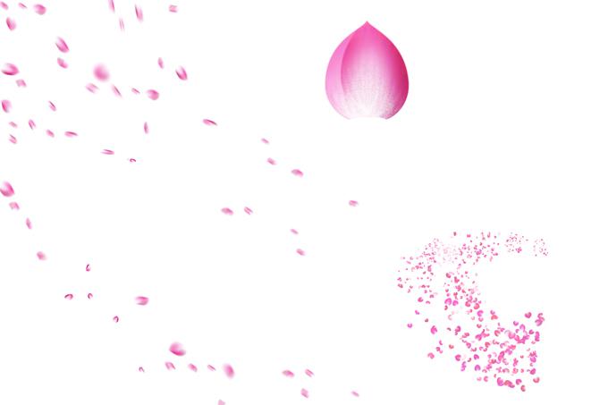 粉色桃花花瓣飘落背景PSD牛品源码-源码下载-源码社区-zblog主题插件-PHP源码-三合一源码-直播源码-短视频源码-APP源码-即时通讯-源码-交友源码牛品源码网