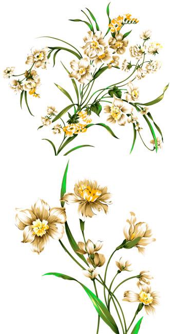 漂亮花朵抠图牛品源码-源码下载-源码社区-zblog主题插件-PHP源码-三合一源码-直播源码-短视频源码-APP源码-即时通讯-源码-交友源码牛品源码网