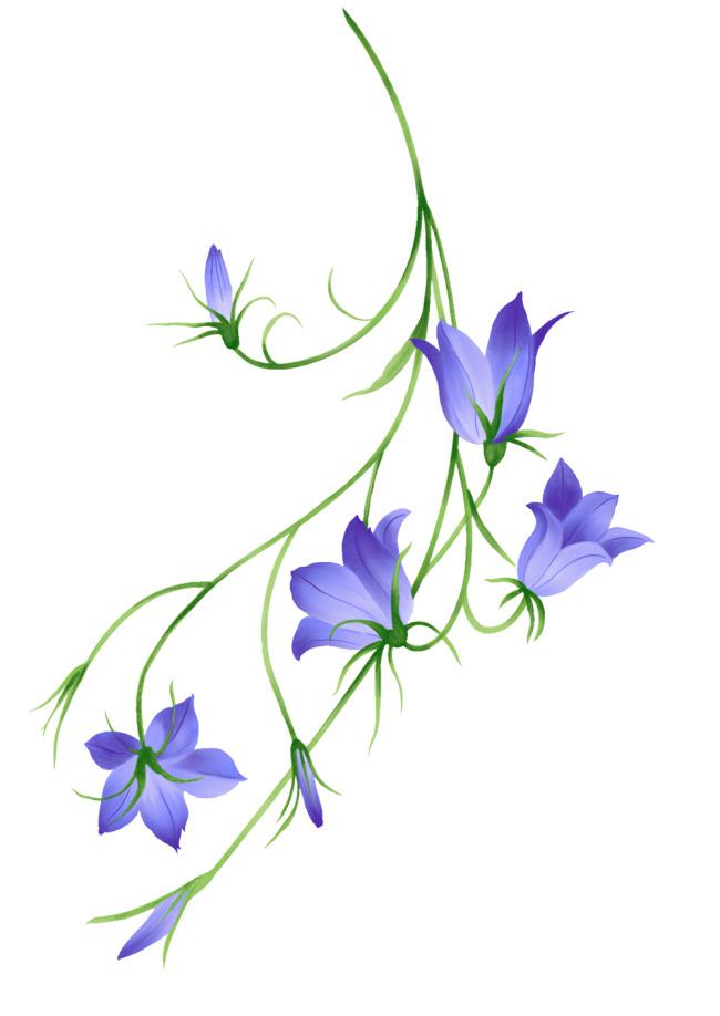 精致花纹花朵牛品源码-源码下载-源码社区-zblog主题插件-PHP源码-三合一源码-直播源码-短视频源码-APP源码-即时通讯-源码-交友源码牛品源码网