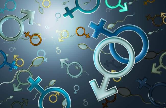 男女性别符号psd素材牛品源码-源码下载-源码社区-zblog主题插件-PHP源码-三合一源码-直播源码-短视频源码-APP源码-即时通讯-源码-交友源码牛品源码网