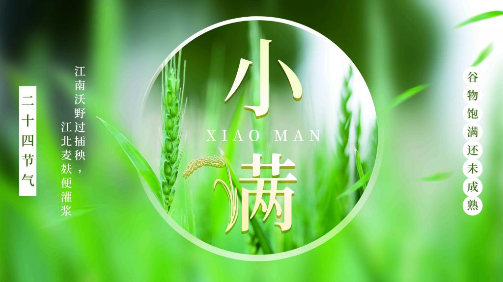 小满二十四节气文艺海报牛品源码-源码下载-源码社区-zblog主题插件-PHP源码-三合一源码-直播源码-短视频源码-APP源码-即时通讯-源码-交友源码牛品源码网