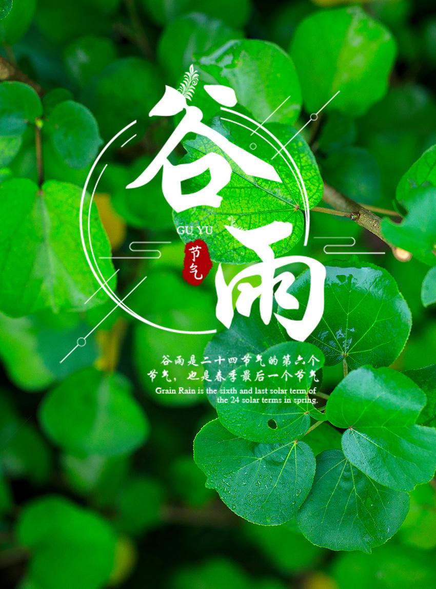 传统二十四节气谷雨海报牛品源码-源码下载-源码社区-zblog主题插件-PHP源码-三合一源码-直播源码-短视频源码-APP源码-即时通讯-源码-交友源码牛品源码网