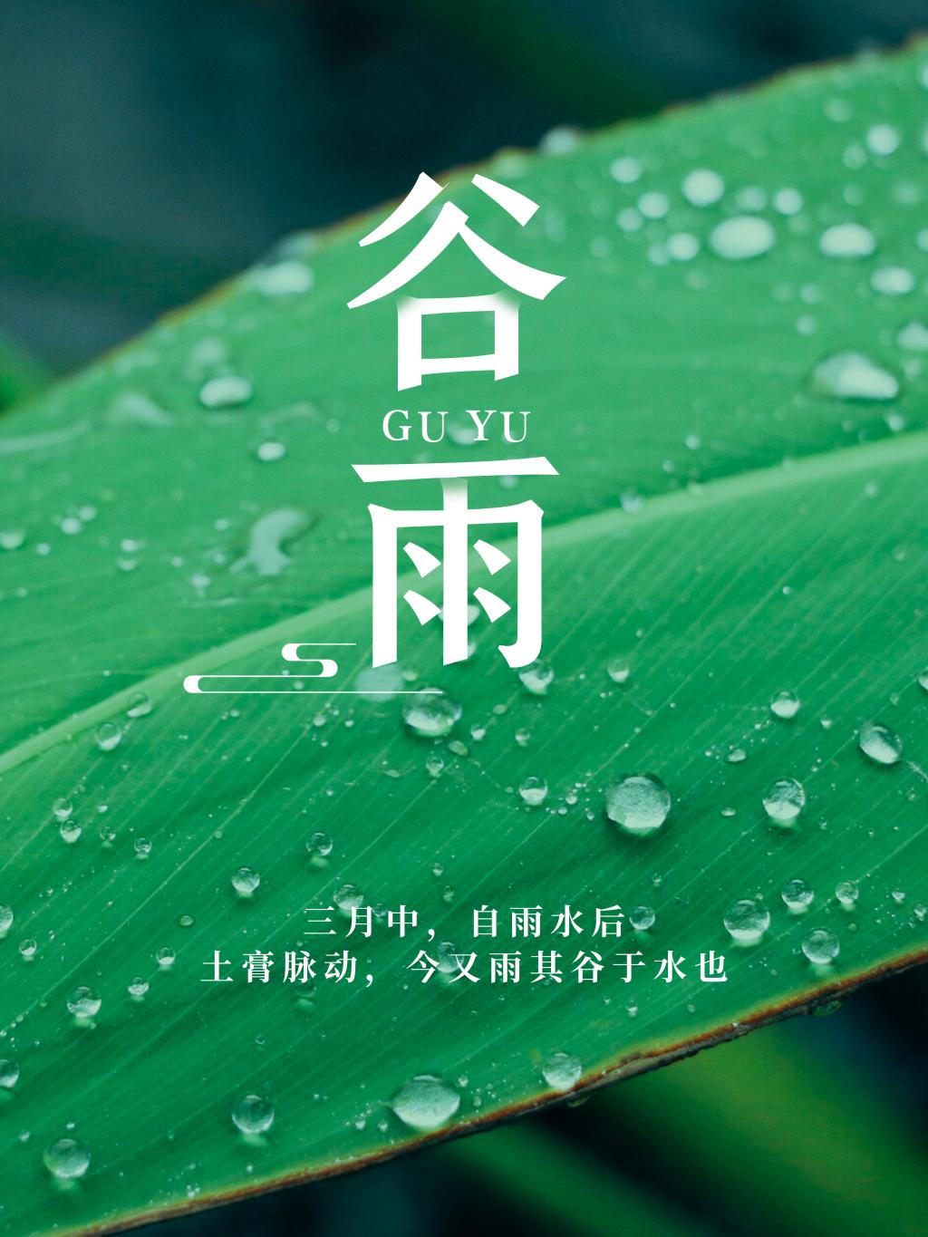 小清新谷雨节气海报牛品源码-源码下载-源码社区-zblog主题插件-PHP源码-三合一源码-直播源码-短视频源码-APP源码-即时通讯-源码-交友源码牛品源码网