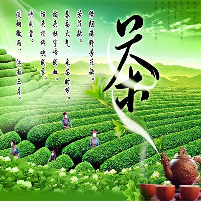 绿色茶园PSD分层素材牛品源码-源码下载-源码社区-zblog主题插件-PHP源码-三合一源码-直播源码-短视频源码-APP源码-即时通讯-源码-交友源码牛品源码网