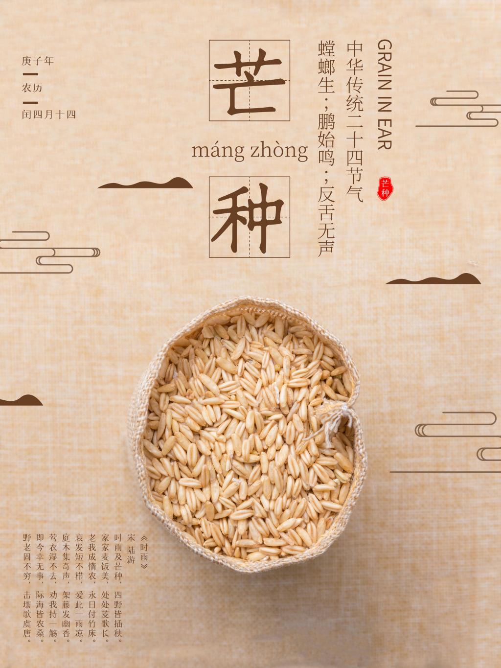 传统二十四节气芒种节气海报牛品源码-源码下载-源码社区-zblog主题插件-PHP源码-三合一源码-直播源码-短视频源码-APP源码-即时通讯-源码-交友源码牛品源码网