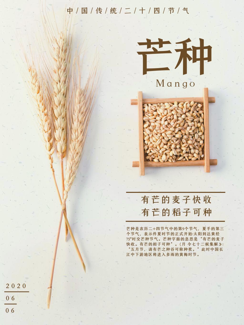 简约传统二十四节气芒种海报牛品源码-源码下载-源码社区-zblog主题插件-PHP源码-三合一源码-直播源码-短视频源码-APP源码-即时通讯-源码-交友源码牛品源码网