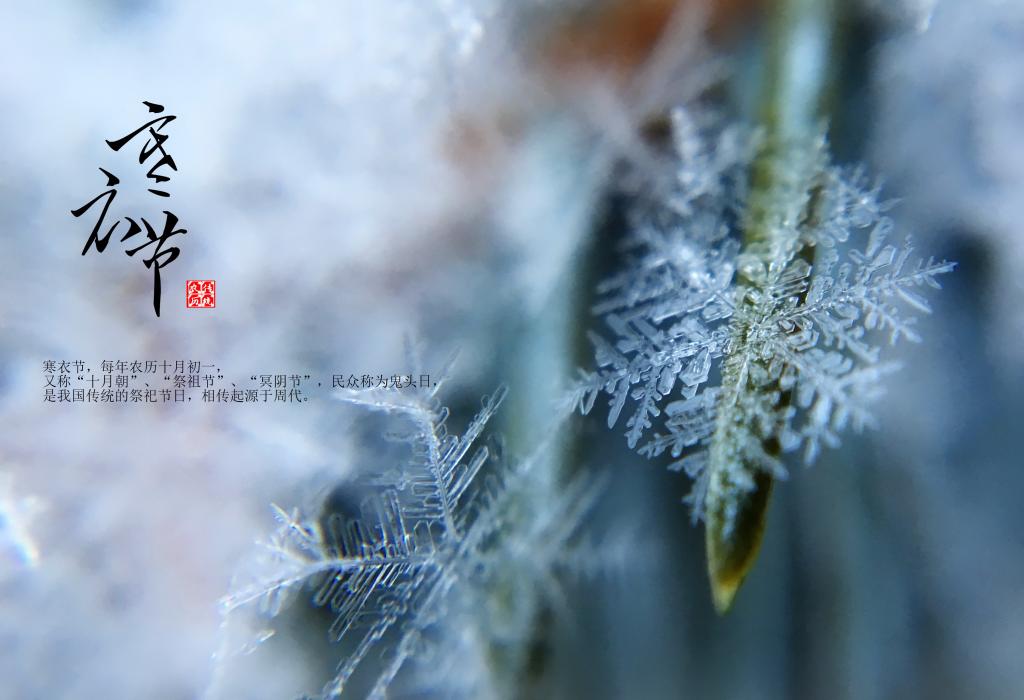 十月初一寒衣节图片牛品源码-源码下载-源码社区-zblog主题插件-PHP源码-三合一源码-直播源码-短视频源码-APP源码-即时通讯-源码-交友源码牛品源码网