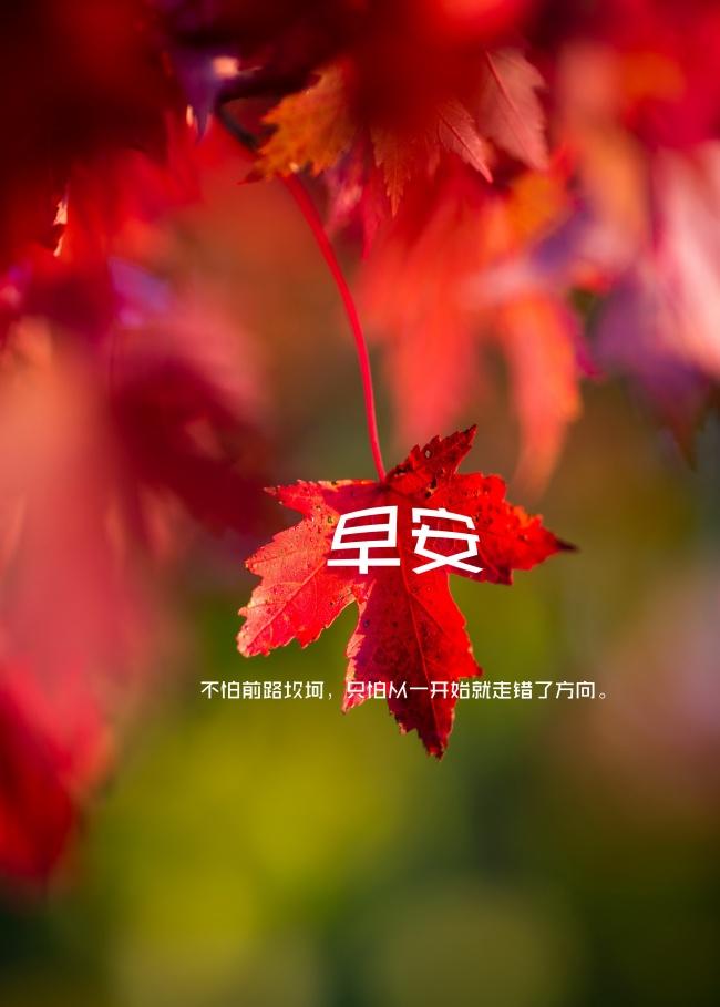 秋分朋友圈早安语图片牛品源码-源码下载-源码社区-zblog主题插件-PHP源码-三合一源码-直播源码-短视频源码-APP源码-即时通讯-源码-交友源码牛品源码网