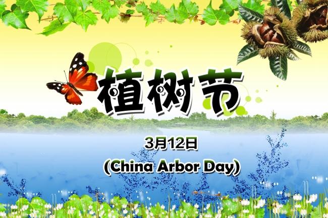 3.12植树节牛品源码-源码下载-源码社区-zblog主题插件-PHP源码-三合一源码-直播源码-短视频源码-APP源码-即时通讯-源码-交友源码牛品源码网