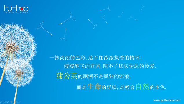 老师节日快乐——感恩教师节动态ppt贺卡模板牛品源码-源码下载-源码社区-zblog主题插件-PHP源码-三合一源码-直播源码-短视频源码-APP源码-即时通讯-源码-交友源码牛品源码网