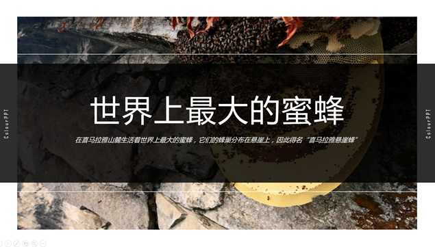 高清大图图文排版时尚杂志风ppt模板牛品源码-源码下载-源码社区-zblog主题插件-PHP源码-三合一源码-直播源码-短视频源码-APP源码-即时通讯-源码-交友源码牛品源码网