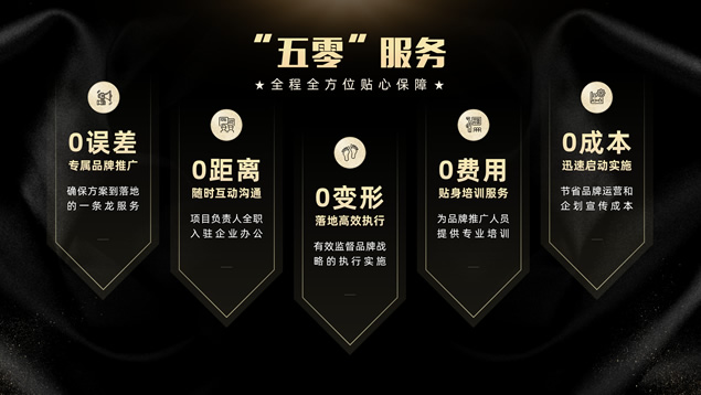 炫酷高端风科技企业服务介绍页ppt模板（14P）牛品源码-源码下载-源码社区-zblog主题插件-PHP源码-三合一源码-直播源码-短视频源码-APP源码-即时通讯-源码-交友源码牛品源码网