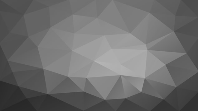 26张PNG格式Low poly 高清灰黑背景（2560x1440）牛品源码-源码下载-源码社区-zblog主题插件-PHP源码-三合一源码-直播源码-短视频源码-APP源码-即时通讯-源码-交友源码牛品源码网