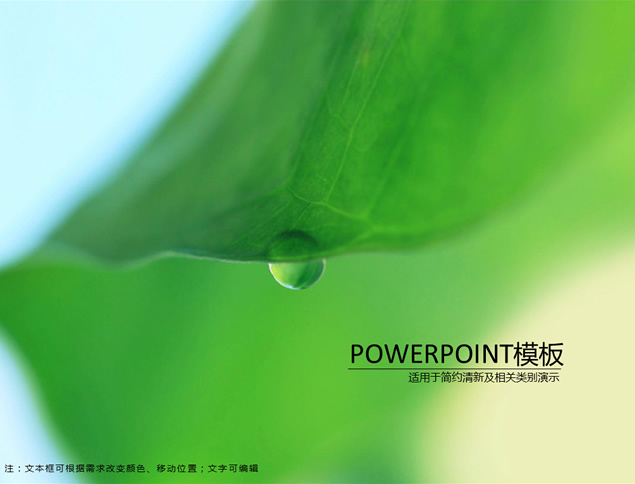 荷叶自然清新淡雅绿ppt模板牛品源码-源码下载-源码社区-zblog主题插件-PHP源码-三合一源码-直播源码-短视频源码-APP源码-即时通讯-源码-交友源码牛品源码网