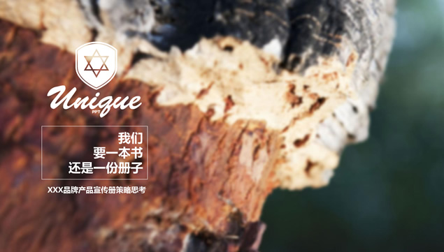 品牌产品宣传册策略思考ppt模板牛品源码-源码下载-源码社区-zblog主题插件-PHP源码-三合一源码-直播源码-短视频源码-APP源码-即时通讯-源码-交友源码牛品源码网