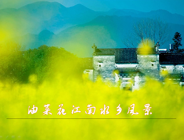 油菜花江南水乡风景ppt模板牛品源码-源码下载-源码社区-zblog主题插件-PHP源码-三合一源码-直播源码-短视频源码-APP源码-即时通讯-源码-交友源码牛品源码网