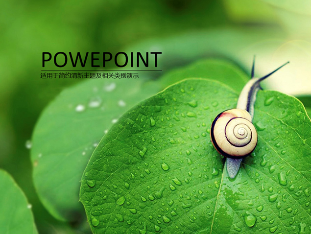 高清蜗牛露珠绿叶小清新ppt自然模板牛品源码-源码下载-源码社区-zblog主题插件-PHP源码-三合一源码-直播源码-短视频源码-APP源码-即时通讯-源码-交友源码牛品源码网
