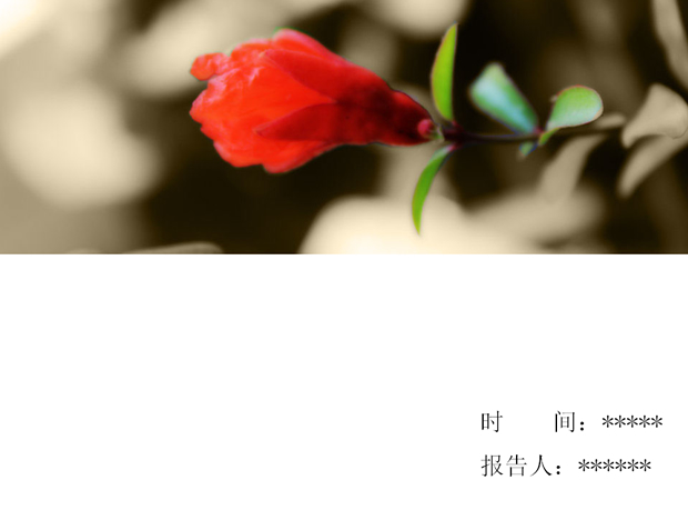 春天里的花儿ppt模板牛品源码-源码下载-源码社区-zblog主题插件-PHP源码-三合一源码-直播源码-短视频源码-APP源码-即时通讯-源码-交友源码牛品源码网