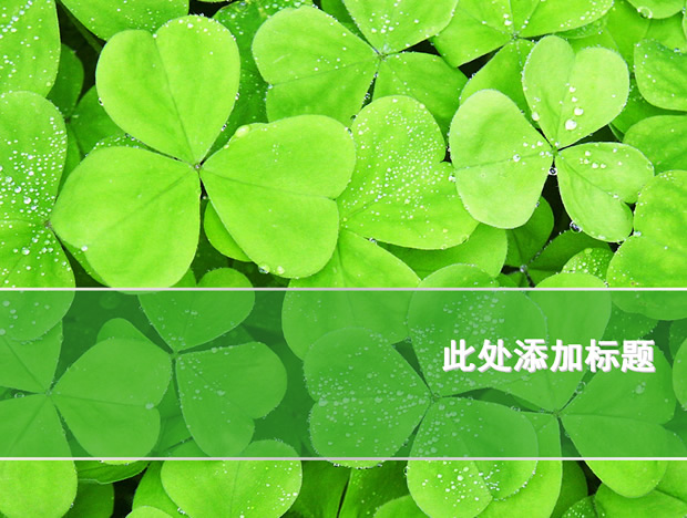 三叶草高清背景图片PPT自然模板牛品源码-源码下载-源码社区-zblog主题插件-PHP源码-三合一源码-直播源码-短视频源码-APP源码-即时通讯-源码-交友源码牛品源码网
