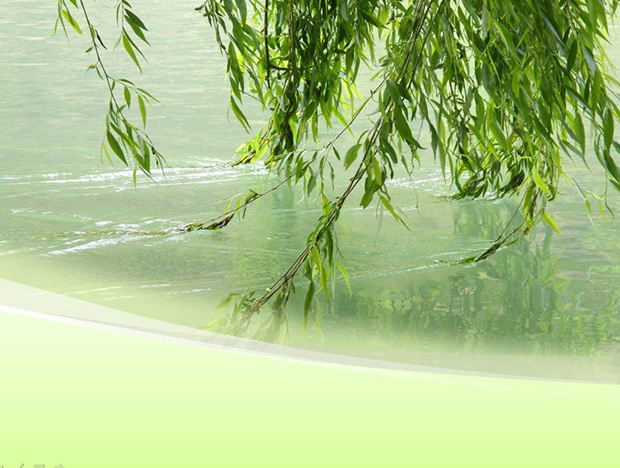 垂柳拂过流淌的水——春天自然ppt模板牛品源码-源码下载-源码社区-zblog主题插件-PHP源码-三合一源码-直播源码-短视频源码-APP源码-即时通讯-源码-交友源码牛品源码网