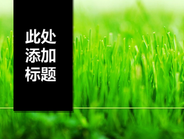 黑色竖形标题嫩芽绿草ppt模板牛品源码-源码下载-源码社区-zblog主题插件-PHP源码-三合一源码-直播源码-短视频源码-APP源码-即时通讯-源码-交友源码牛品源码网