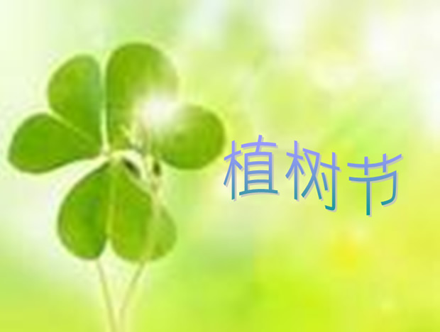 植树节班会ppt模板下载牛品源码-源码下载-源码社区-zblog主题插件-PHP源码-三合一源码-直播源码-短视频源码-APP源码-即时通讯-源码-交友源码牛品源码网